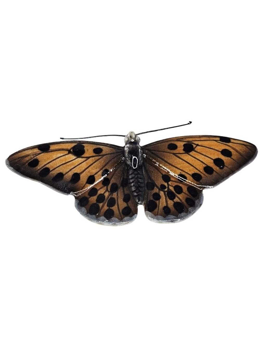 Klima Porcelain Black Spotted Butterfly Miniature Figurine Wings Out Insect